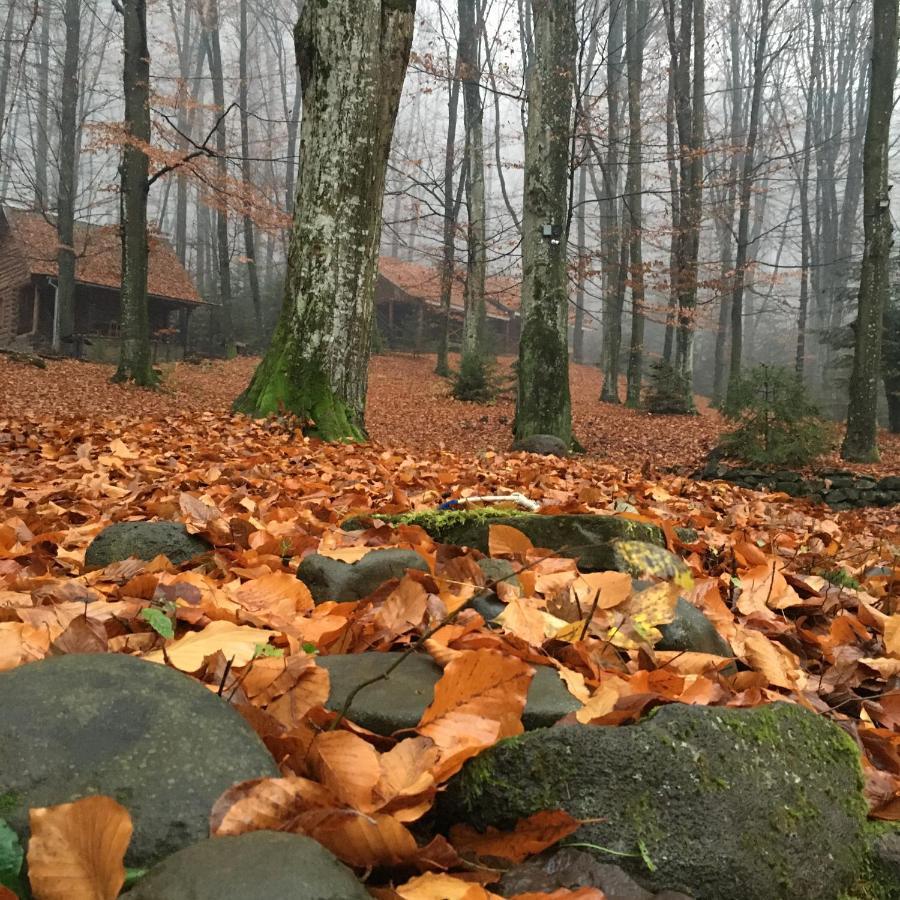 База Відпочинку Шиповець Poroshkovo Bagian luar foto