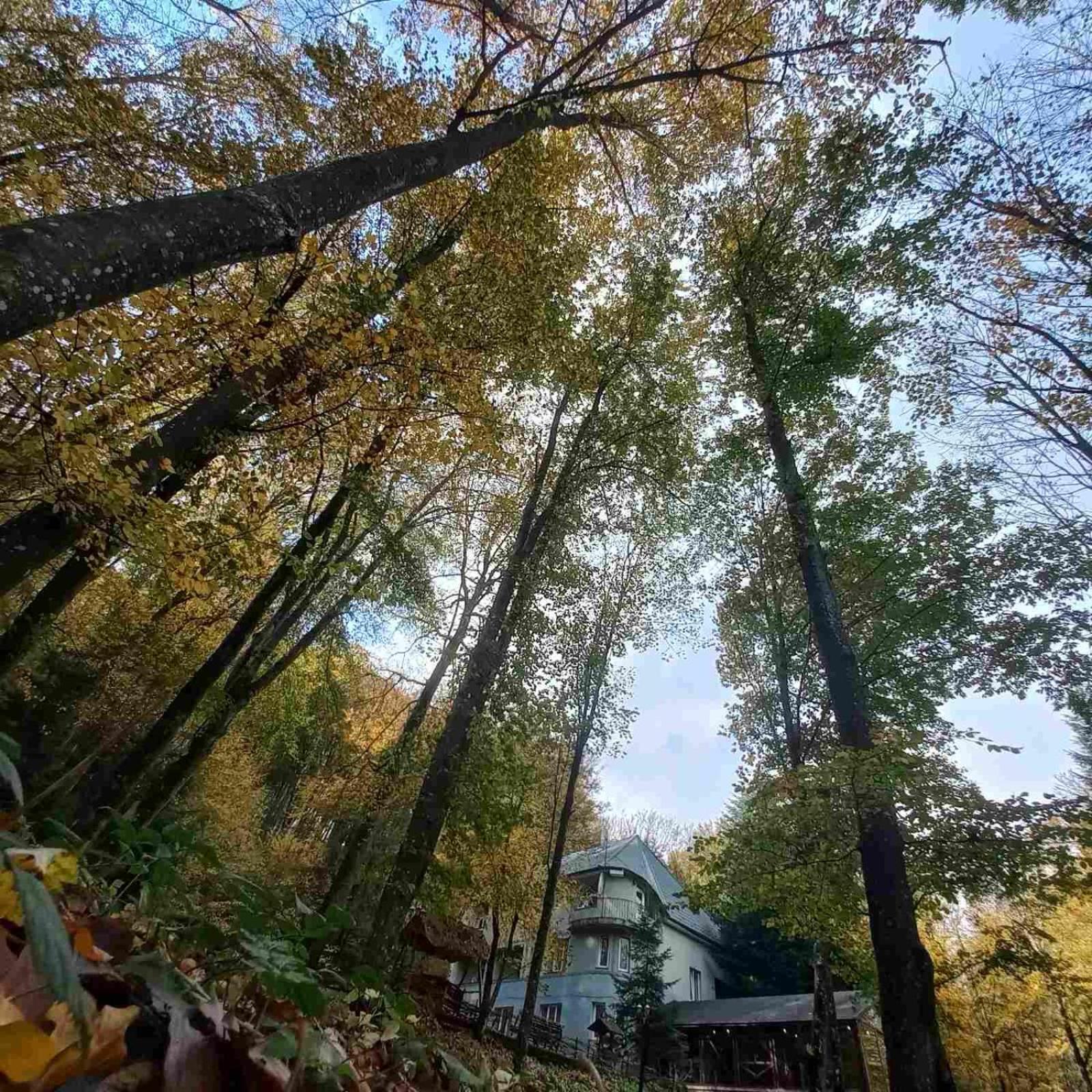 База Відпочинку Шиповець Poroshkovo Bagian luar foto